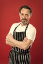 Confident mature handsome man in apron red background. He might be baker gardener chef or cleaner. Good in everything Royalty Free Stock Photo