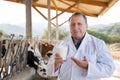 Man veterinarian with milk on dairy farm Royalty Free Stock Photo