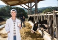 Confident senior woman veterinarian approvingly demonstrating milk on dairy farm Royalty Free Stock Photo