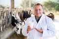 veterinarian approvingly demonstrating milk on dairy farm Royalty Free Stock Photo