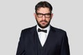 Confident serious man wearing tuxedo, bow tie and spectacles Royalty Free Stock Photo