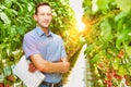 Confident supervisor standing with arms crossed in greehouse and yellow lens flare