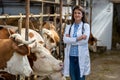Woman veterinarian standing in stable Royalty Free Stock Photo