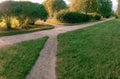 Confluence and intersection of straight walking paths in different directions among grass, bushes and trees in the early morning