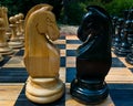 Confrontation of white and black chess horses Royalty Free Stock Photo