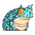 Confused Exotic Frog, isolated vector illustration. Funny cartoon picture of a tropic toad staring at something with shock