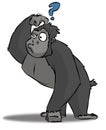 Confused Gorilla