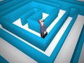 Confused by a maze and Bewildered on solution - 3d illustration