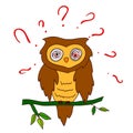 Confused owl with questions