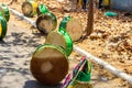 Congadas, an Afro-Brazilian cultural and religious manifestation.