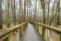 Congaree National Park