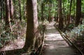 Congaree National Park