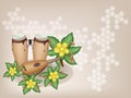 Congas and Lute with Simpor Flowers on Brown Backg