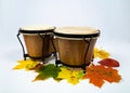 Congas percussion