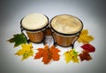 Congas percussion Royalty Free Stock Photo