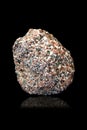 Conglomerate from Delaware bay, Delaware. Royalty Free Stock Photo