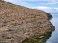 Conglomerate rock on the Ness of Burgi, south Shetland, UK - Hayes Sandstone Formation - Sedimentary Bedrock
