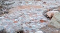 Conglomerate streambed in Grand Canyon