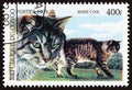 CONGO REPUBLIC - CIRCA 1999: A stamp printed in Congo from the `Cats` issue shows Maine Coon, circa 1999.