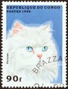 CONGO REPUBLIC - CIRCA 1996: A stamp printed in Congo from the `Domestic Cats` issue shows a Persian, circa 1996.