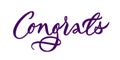 Congrats - calligraphic inscriptions on light background. Card design. Vector.