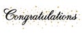 Congratulation Text Isolated White Background