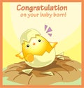 Congratulation on your baby born greeting card