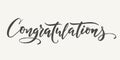 Congratulations calligraphy. Hand written text. Lettering. Calligraphic banner. Royalty Free Stock Photo