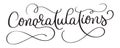 Congratulations calligraphy Lettering vector Hand written text on white background. Calligraphic banner Royalty Free Stock Photo