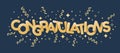 Congratulations - Gold text andgold ribbon fireworks stars around on dark blue background