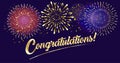 Congratulations fireworks 2024 calligraphy festival banner sign vector