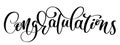 Congratulations Hand lettering Calligraphic greeting inscription. Vector handwritten typography