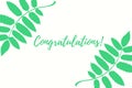 Congratulations text isolated on a white background, Royalty Free Stock Photo