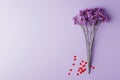 Congratulations text on lavender background with red confetti Royalty Free Stock Photo
