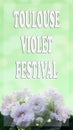 Congratulations on the text at the Toulouse Violet Festival, which takes place in France in February