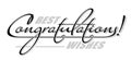 Underscore handwritten text "Congratulations" with shadow. Hand drawn calligraphy lettering