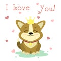 Congratulations on Valentine s Day. A cute puppy of corgi in a crown and a medal on a ribbon sitting on a background of