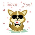 Congratulations on Valentine s Day. A cute puppy of corgi in sunglasses and a bow-tie sits and holds a letter on a