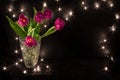 A congratulatory bouquet and holiday lights Royalty Free Stock Photo