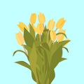 Congratulatory bouquet of yellow tulips painted by hand, on a blue background.