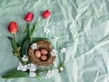 Congratulatory easter background. Royalty Free Stock Photo