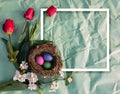 Congratulatory easter background in the sunlight. Royalty Free Stock Photo