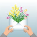 Spring greeting letter with tulips and mimosa.