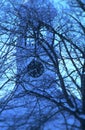 Congregational Church in Peacham VT