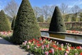 Conic trees and flowers Royalty Free Stock Photo