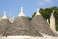 Conical roofs 2 Royalty Free Stock Photo