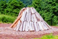 Conical stacked Woodlogs Royalty Free Stock Photo