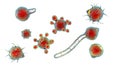 Conidiobolus coronatus microscopic fungi, 3D illustration. Tropical fungus, causes polyps or under skin masses in nasal cavity