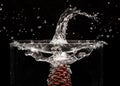 Conifer cone Splash Photography: on a black background Royalty Free Stock Photo