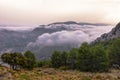 Conifer forest against valles with pink clouds and mountain range during sunrise, Sierra Nevada Mountains, Granada, Spain Royalty Free Stock Photo